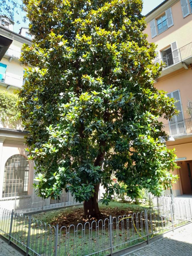Central Garibaldi Loft, a piedi a Palazzo Reale Torino Esterno foto